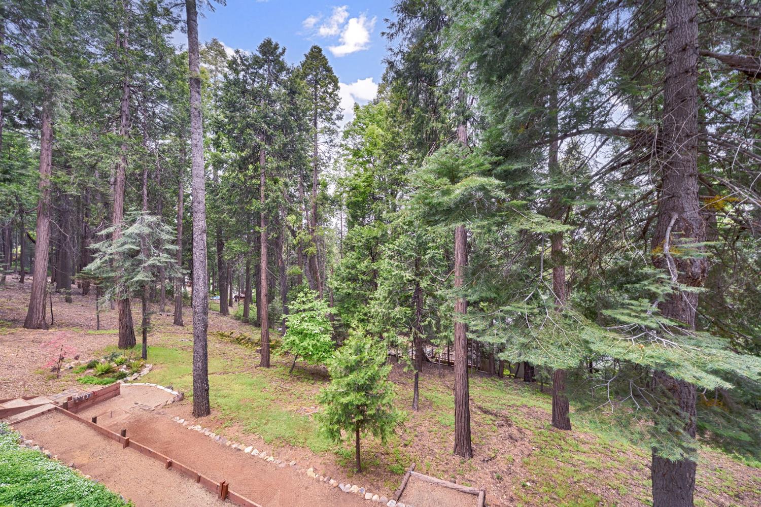 Detail Gallery Image 30 of 49 For 4038 Opal Trl, Pollock Pines,  CA 95726 - 3 Beds | 2 Baths