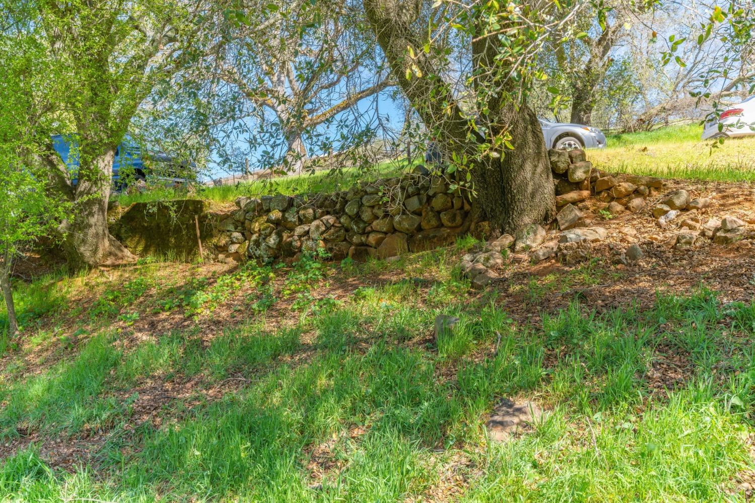 Gods Hill Rd., Amador City, California image 5