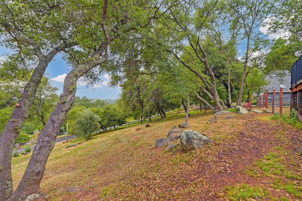 Detail Gallery Image 77 of 90 For 4531 Holly Dr, Shingle Springs,  CA 95682 - 4 Beds | 3 Baths