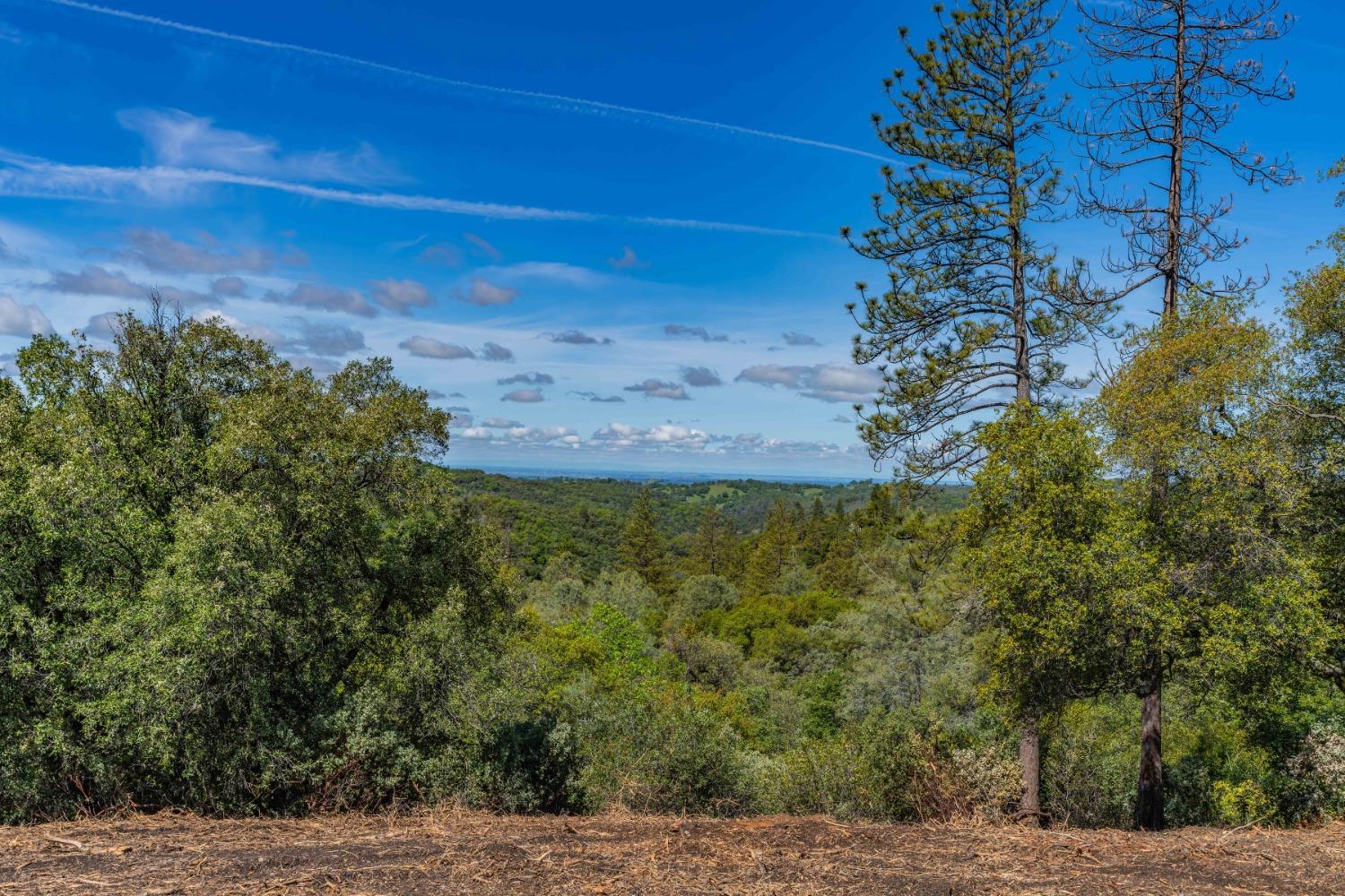 Detail Gallery Image 3 of 25 For 0 Oneto Rd, Sutter Creek,  CA 95685 - – Beds | – Baths