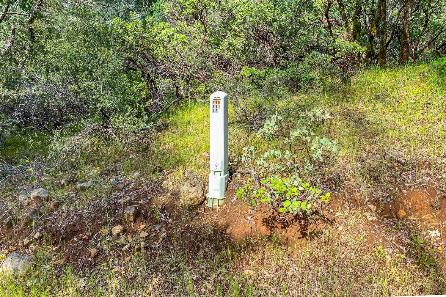 Donkey Mine Rd, Oak Run, California image 14