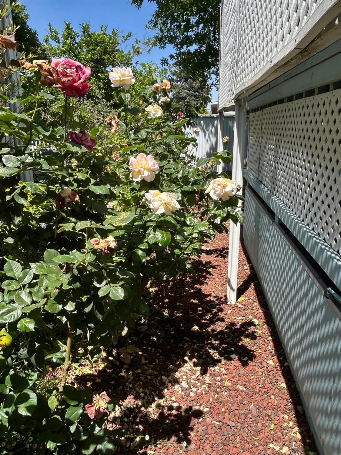Detail Gallery Image 5 of 28 For 6305 Governors Ln 36, Sacramento,  CA 95828 - 3 Beds | 2 Baths