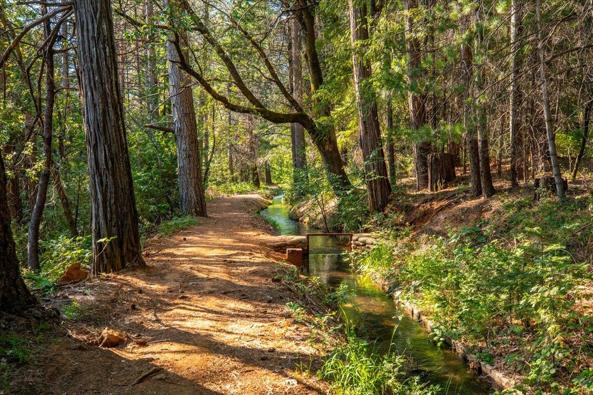Willow Valley Road, Nevada City, California image 6