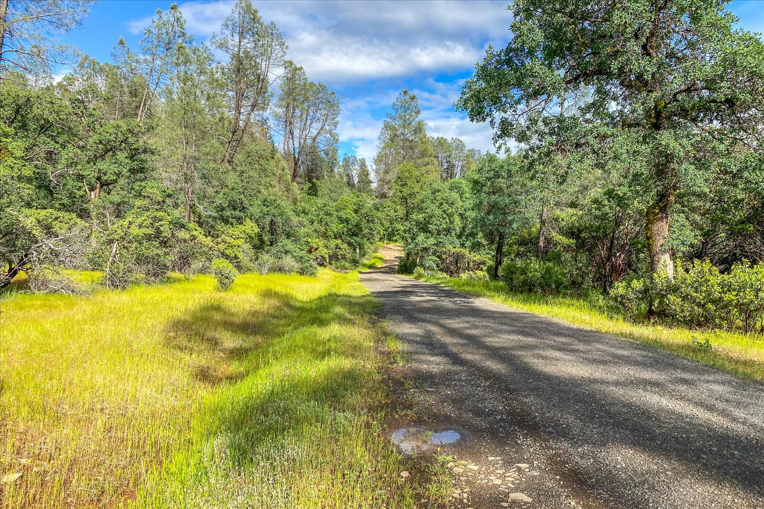 Donkey Mine Rd, Oak Run, California image 7
