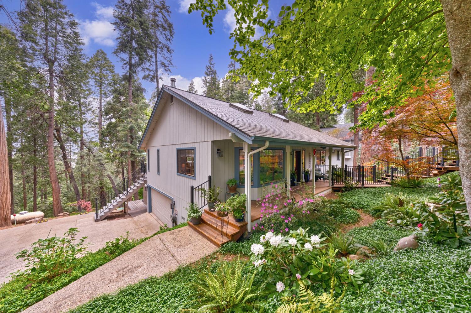Detail Gallery Image 1 of 49 For 4038 Opal Trl, Pollock Pines,  CA 95726 - 3 Beds | 2 Baths
