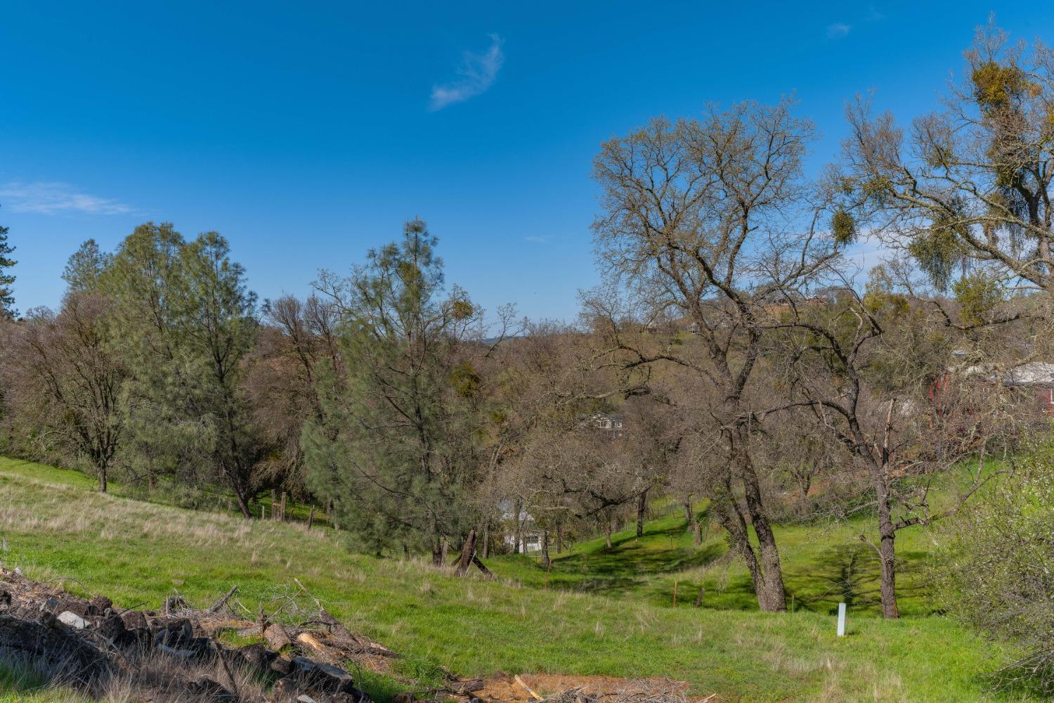 Gods Hill Rd., Amador City, California image 12