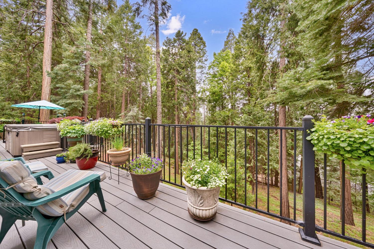 Detail Gallery Image 29 of 49 For 4038 Opal Trl, Pollock Pines,  CA 95726 - 3 Beds | 2 Baths