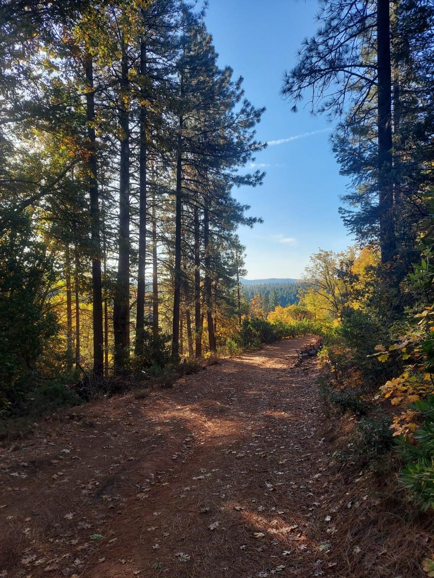 Grizzly Creek Road, Nevada City, California image 2