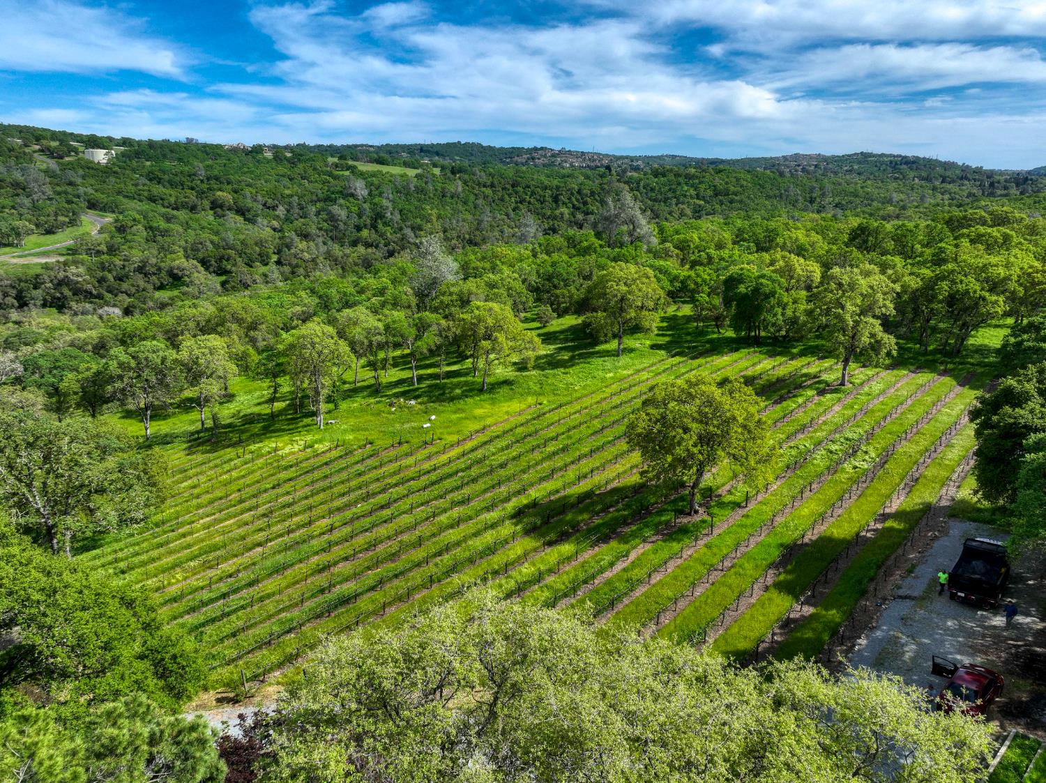 Detail Gallery Image 86 of 88 For 2020 Kaila Way, El Dorado Hills,  CA 95762 - 5 Beds | 6/1 Baths