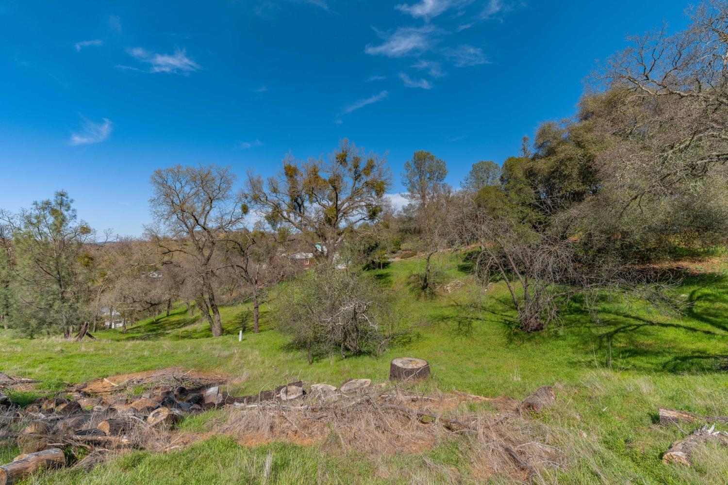Gods Hill Rd., Amador City, California image 15