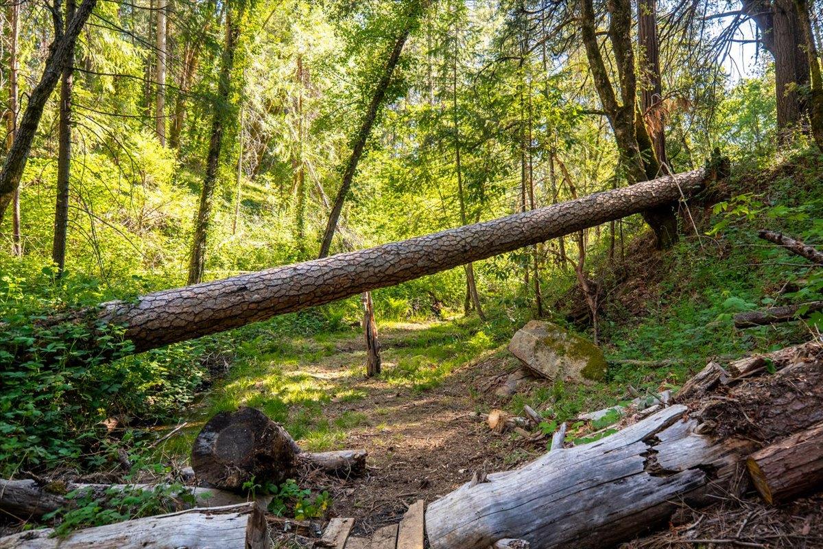 Detail Gallery Image 54 of 63 For 11992 Willow Valley Rd, Nevada City,  CA 95959 - 2 Beds | 2 Baths