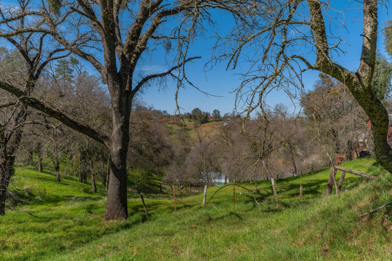 Gods Hill Rd., Amador City, California image 7