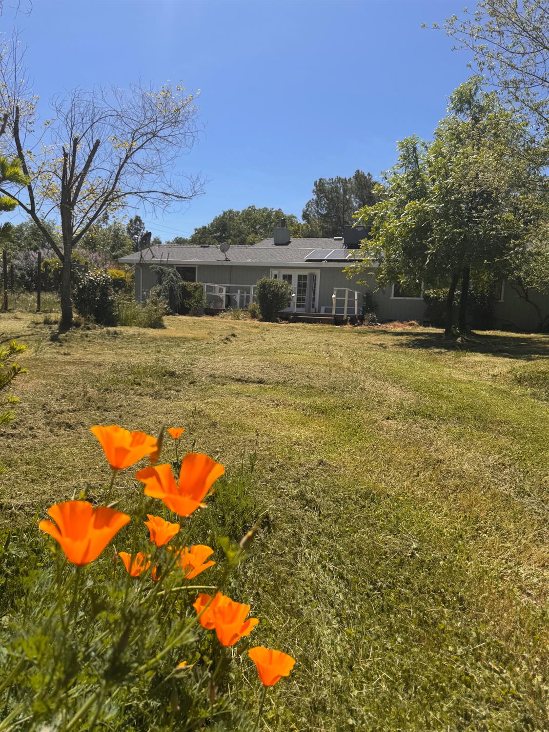 Prado Vista Court, Placerville, California image 1