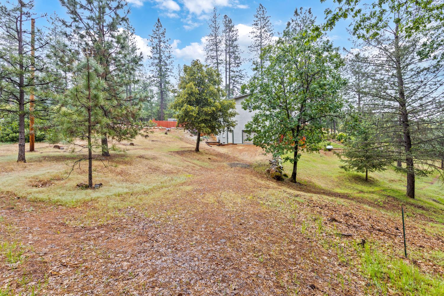 Green Leaf Lane, Foresthill, California image 48