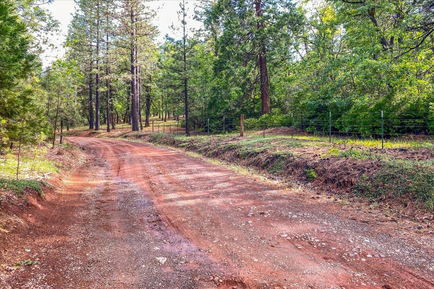 Donkey Mine Rd, Oak Run, California image 8