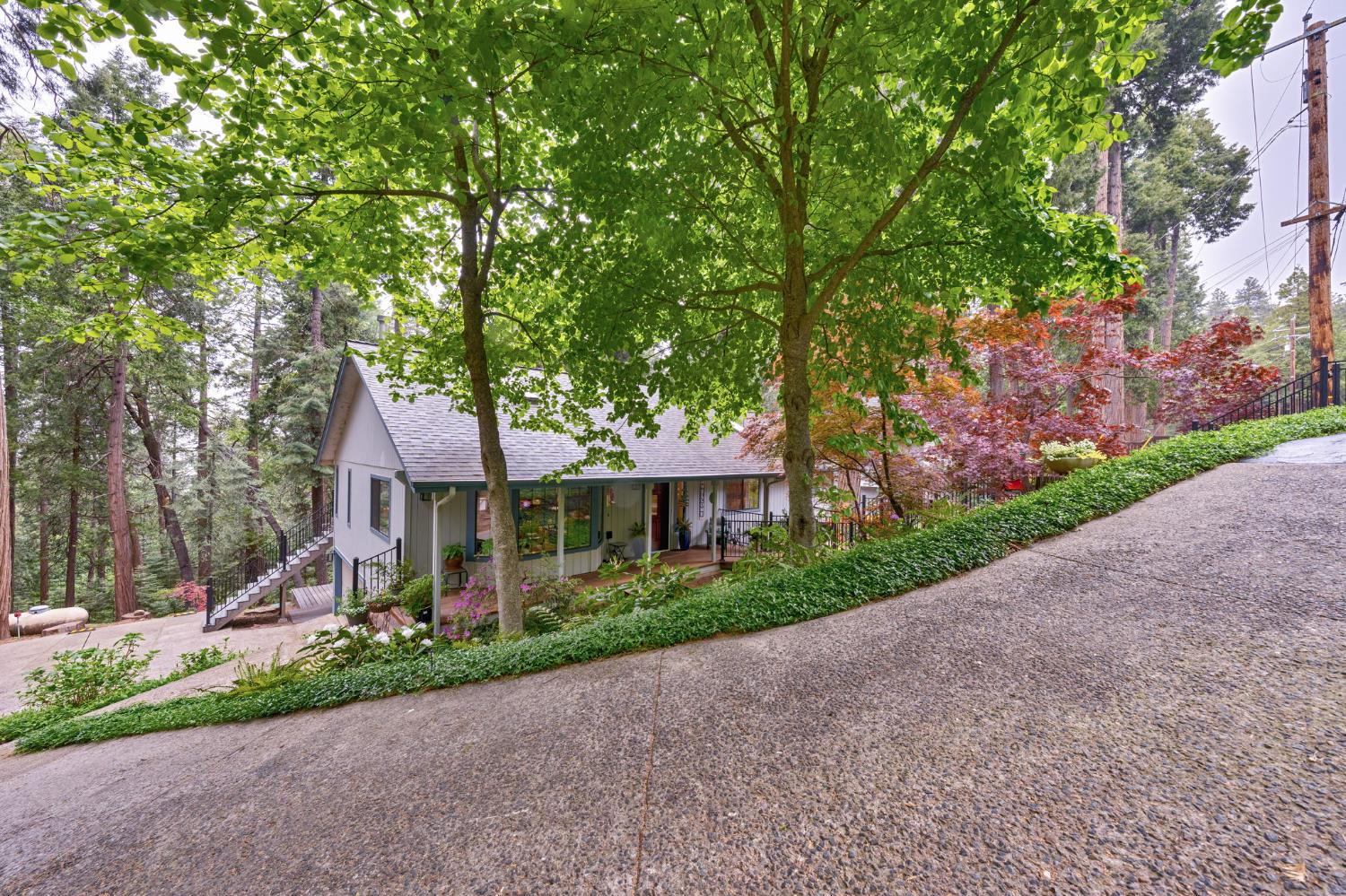 Detail Gallery Image 43 of 49 For 4038 Opal Trl, Pollock Pines,  CA 95726 - 3 Beds | 2 Baths