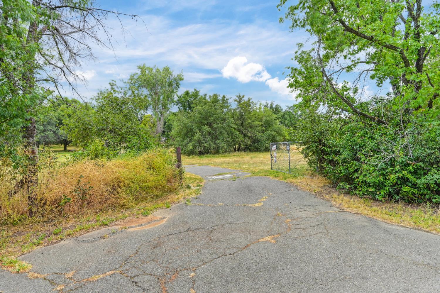 Penny Lane, Lincoln, California image 31
