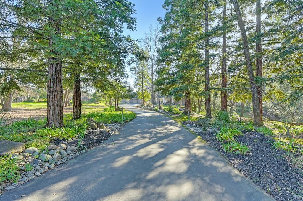 Detail Gallery Image 54 of 92 For 3710 Sutter Hill Ln, Carmichael,  CA 95608 - 4 Beds | 3/1 Baths
