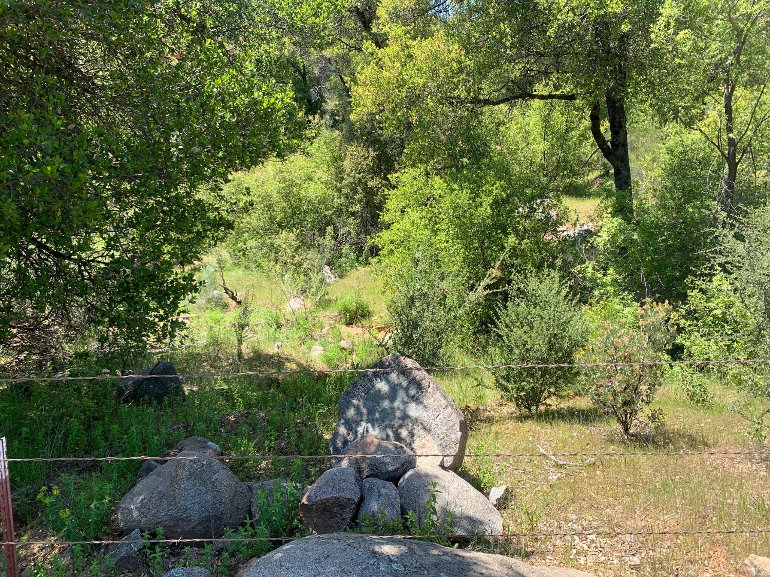 Lyons Bald Mountain Road, Sonora, California image 19