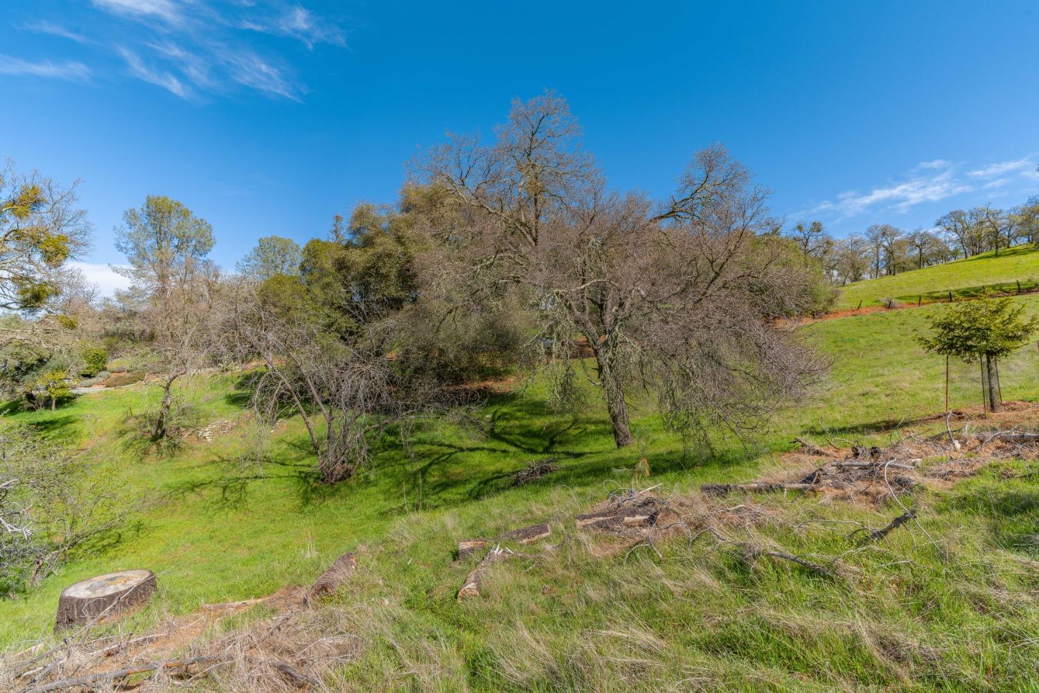 Gods Hill Rd., Amador City, California image 14