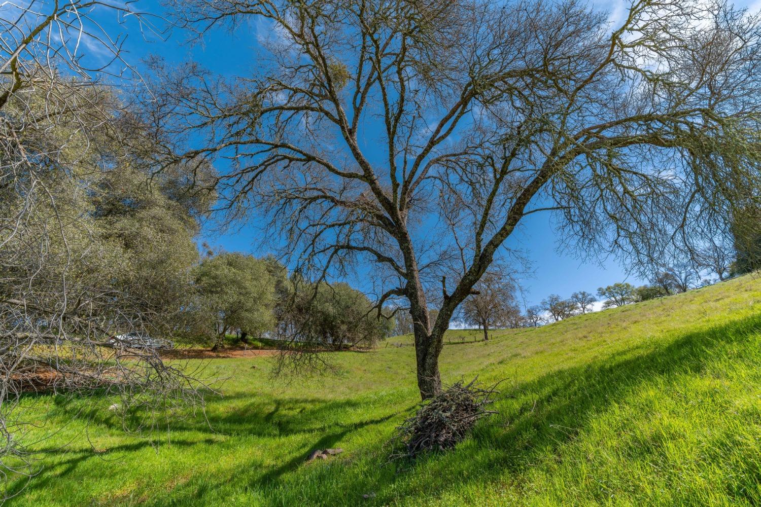 Gods Hill Rd., Amador City, California image 11