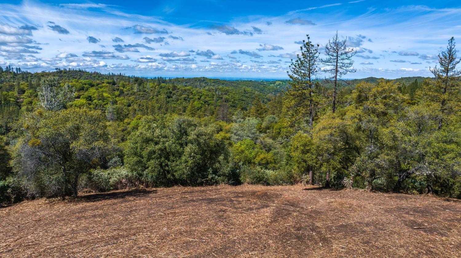 Detail Gallery Image 24 of 25 For 0 Oneto Rd, Sutter Creek,  CA 95685 - – Beds | – Baths