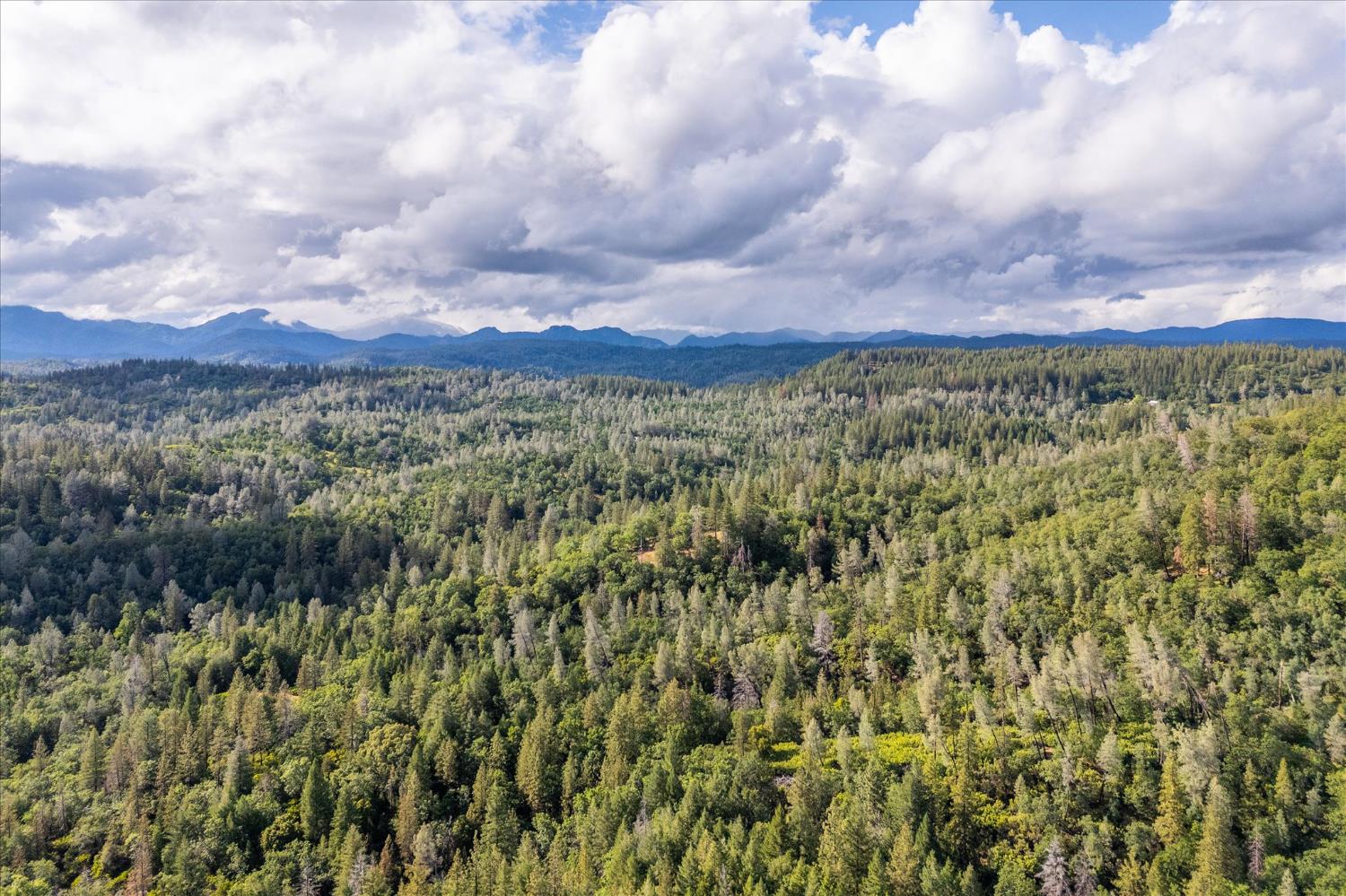 Donkey Mine Rd, Oak Run, California image 9