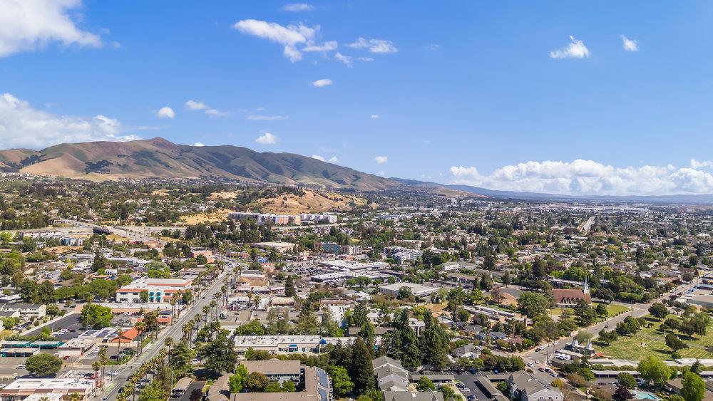 Squill Common, Fremont, California image 34