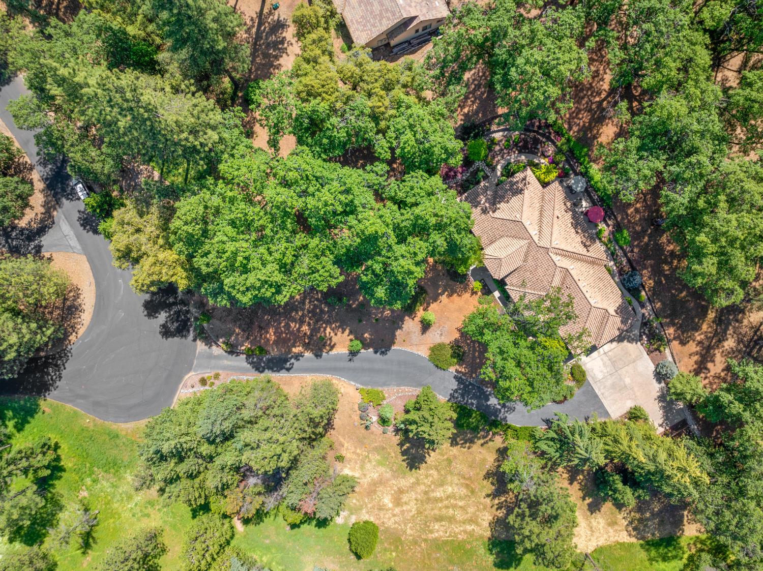 Bella Vista Circle, Foresthill, California image 50