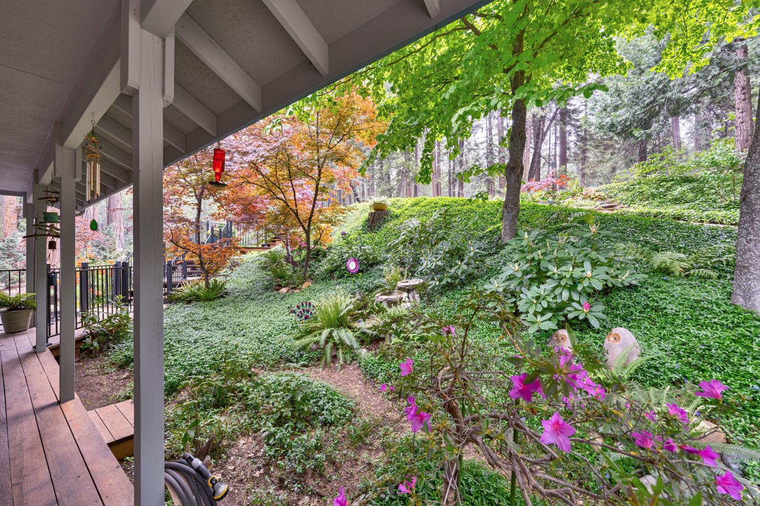 Detail Gallery Image 39 of 49 For 4038 Opal Trl, Pollock Pines,  CA 95726 - 3 Beds | 2 Baths