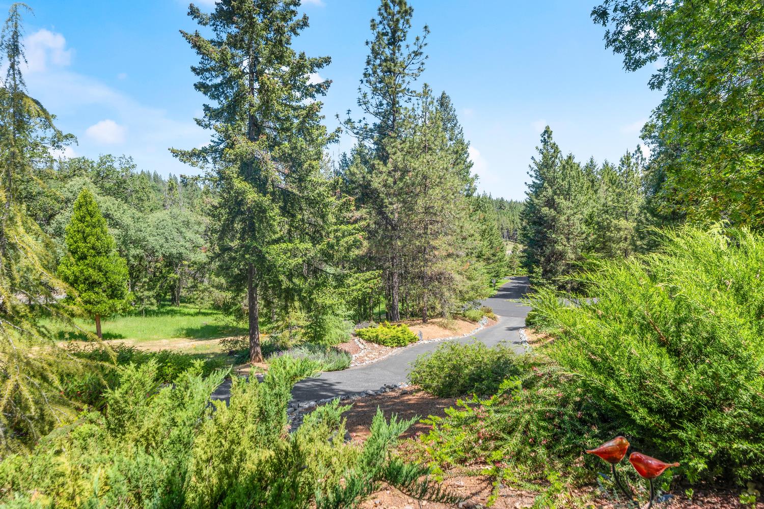 Bella Vista Circle, Foresthill, California image 18