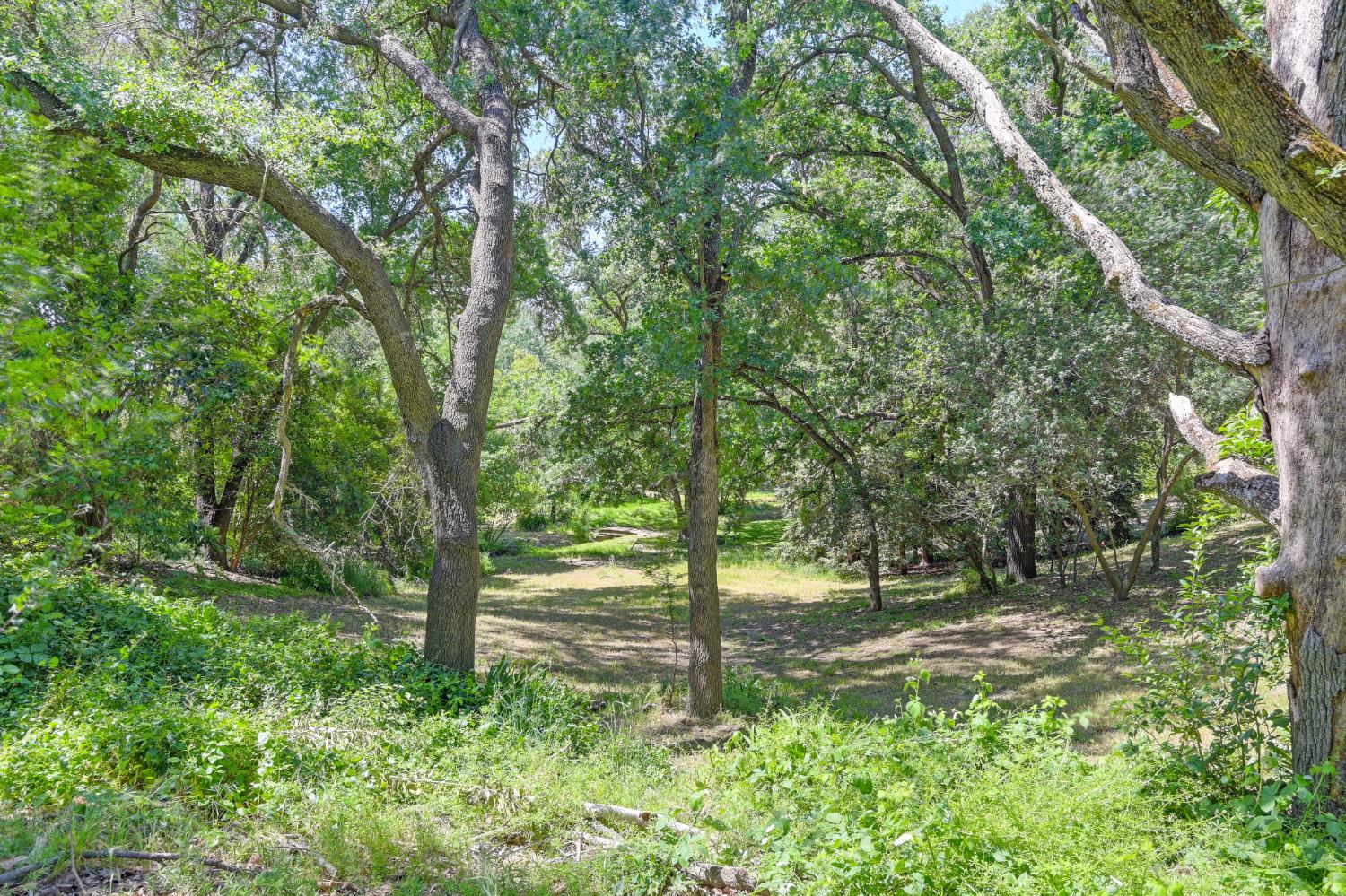 Detail Gallery Image 59 of 92 For 3710 Sutter Hill Ln, Carmichael,  CA 95608 - 4 Beds | 3/1 Baths