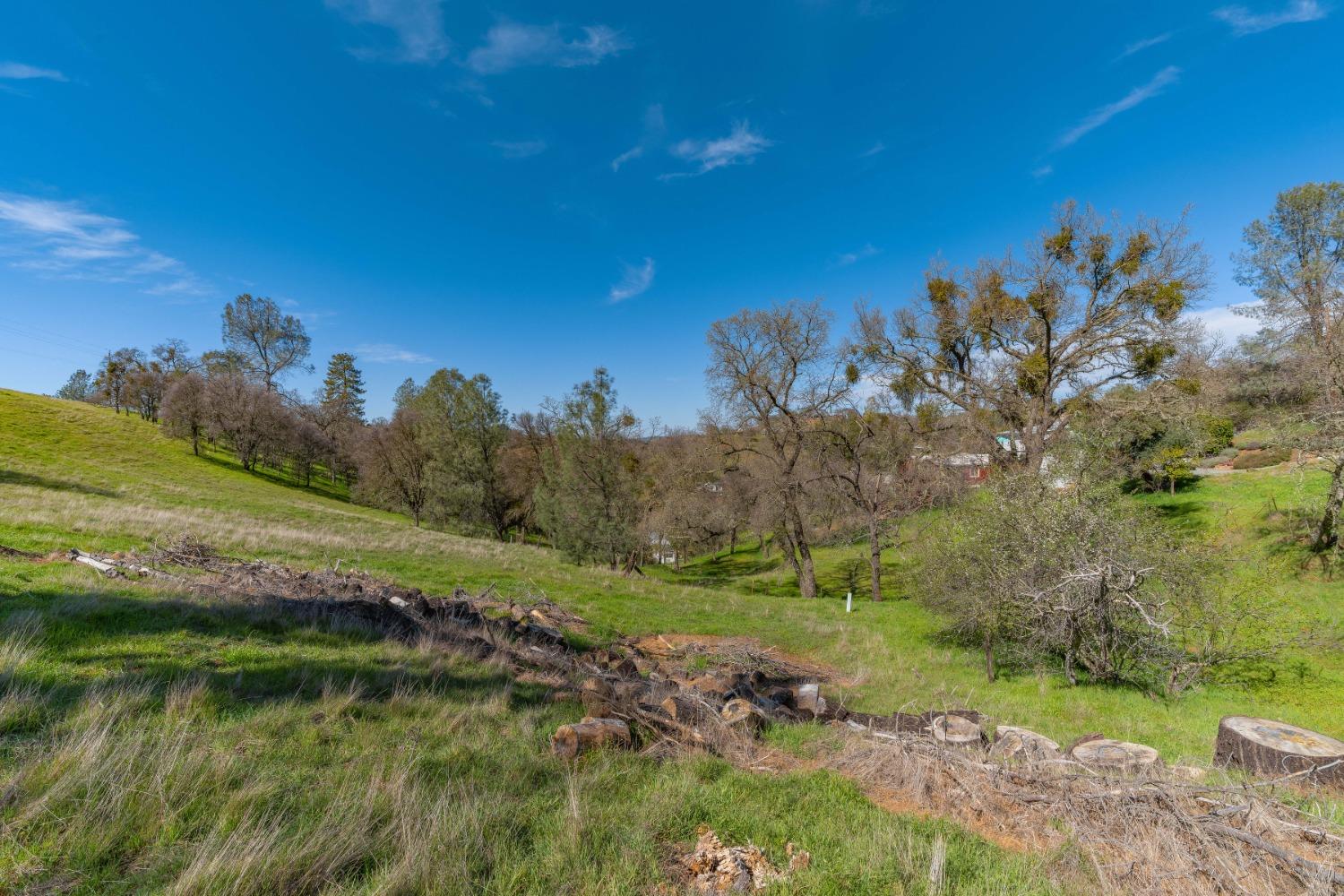 Gods Hill Rd., Amador City, California image 13
