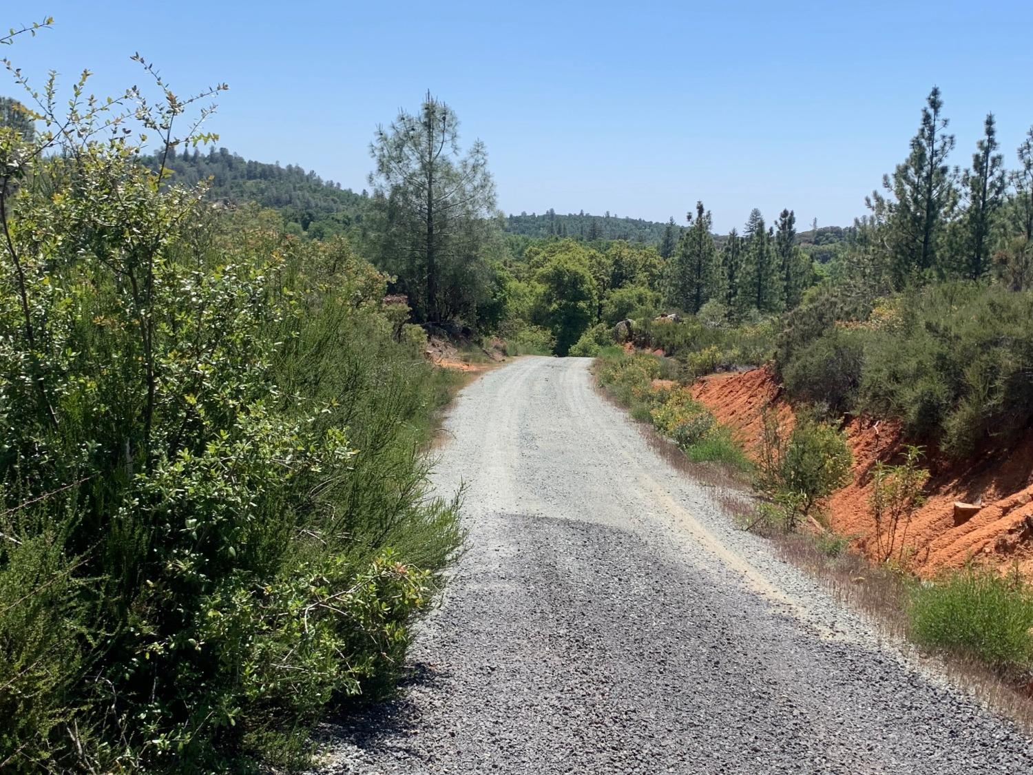 Lyons Bald Mountain Road, Sonora, California image 17