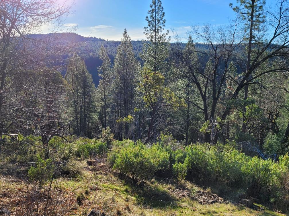 Grizzly Creek Road, Nevada City, California image 1