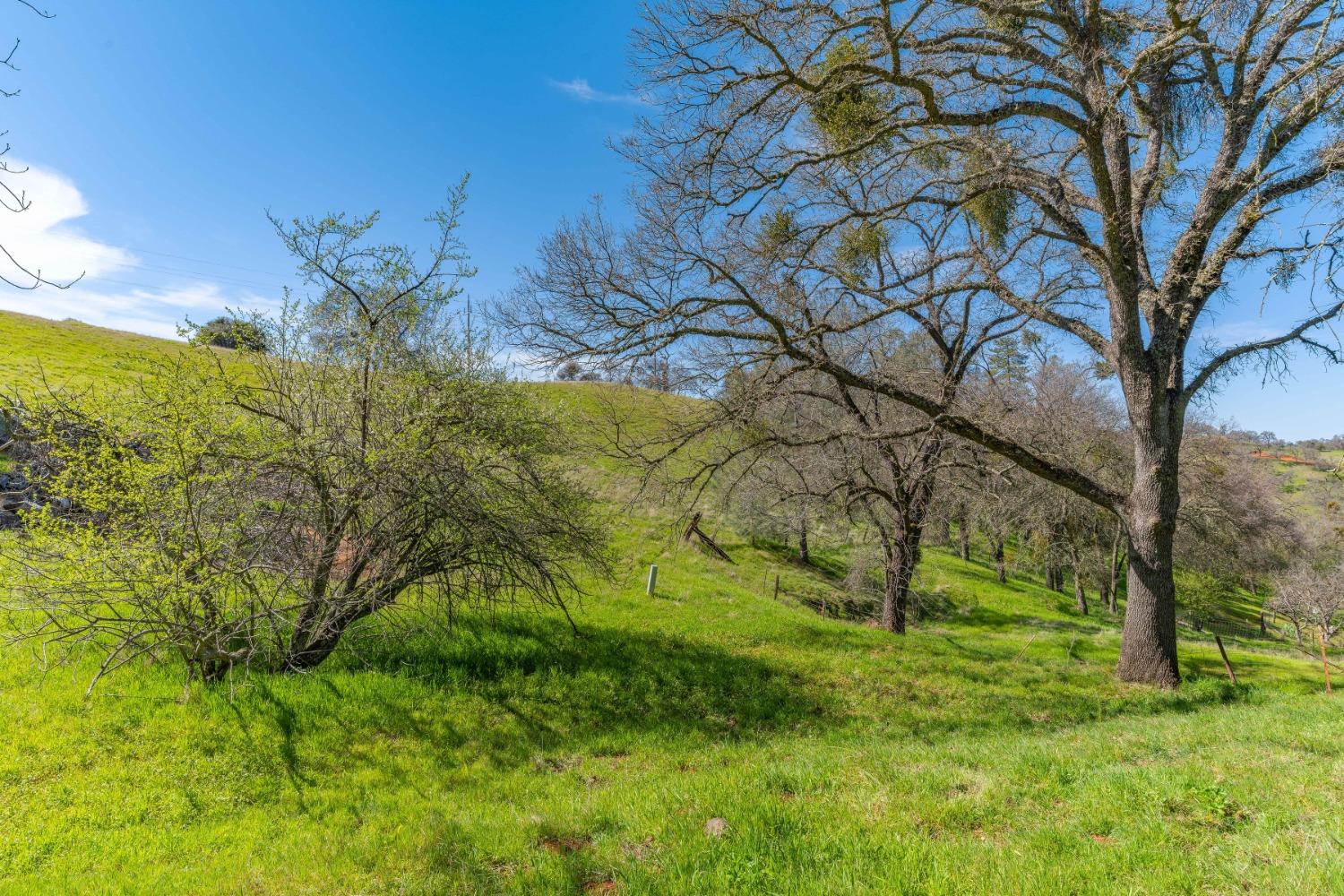 Gods Hill Rd., Amador City, California image 8