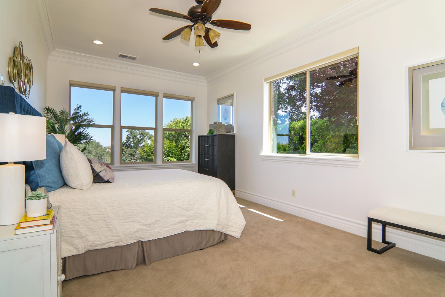 Vista De Madera, Lincoln, California image 18