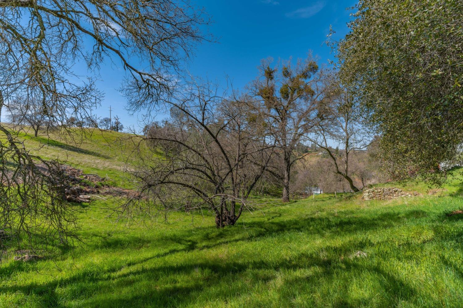 Gods Hill Rd., Amador City, California image 17