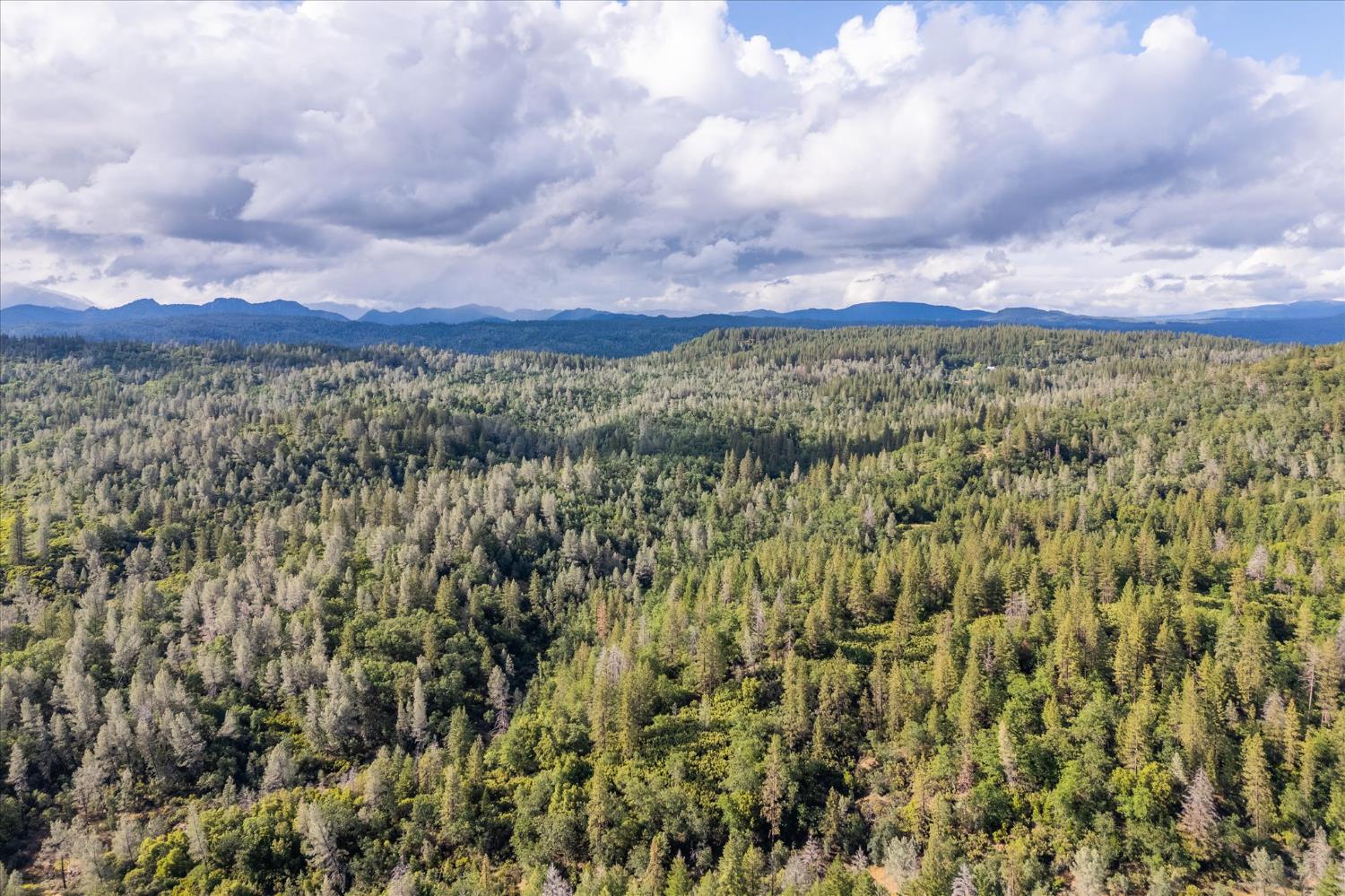 Donkey Mine Rd, Oak Run, California image 18
