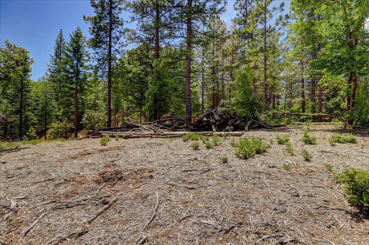 Detail Gallery Image 54 of 63 For 16856 Red Dog Rd, Nevada City,  CA 95959 - – Beds | – Baths