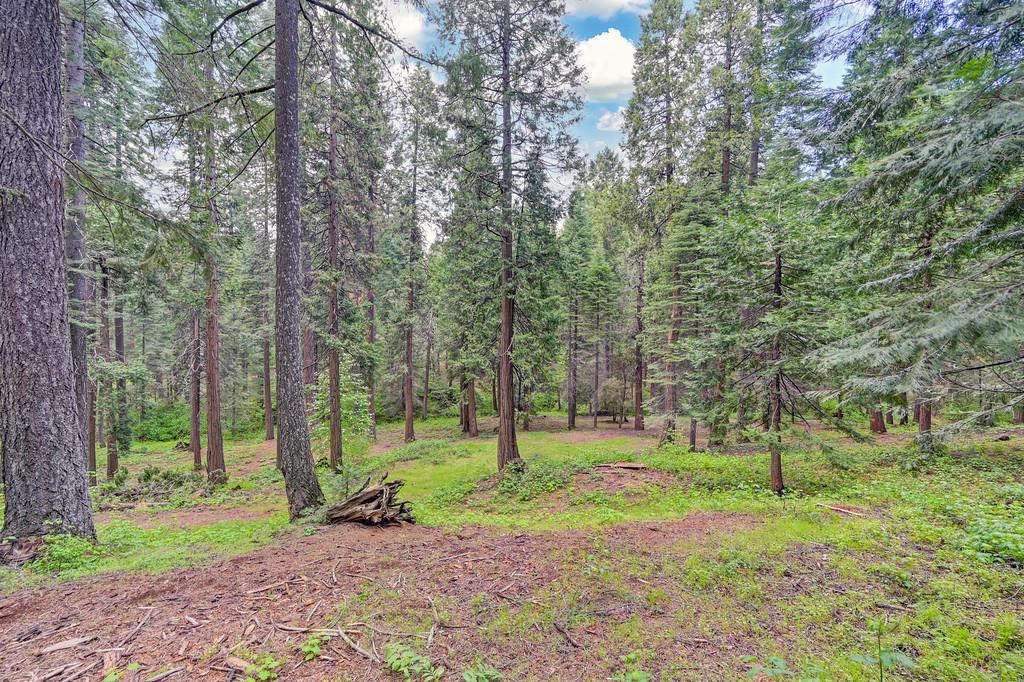 Detail Gallery Image 46 of 47 For 3490 Gold Ridge Trl, Pollock Pines,  CA 95726 - 3 Beds | 2 Baths