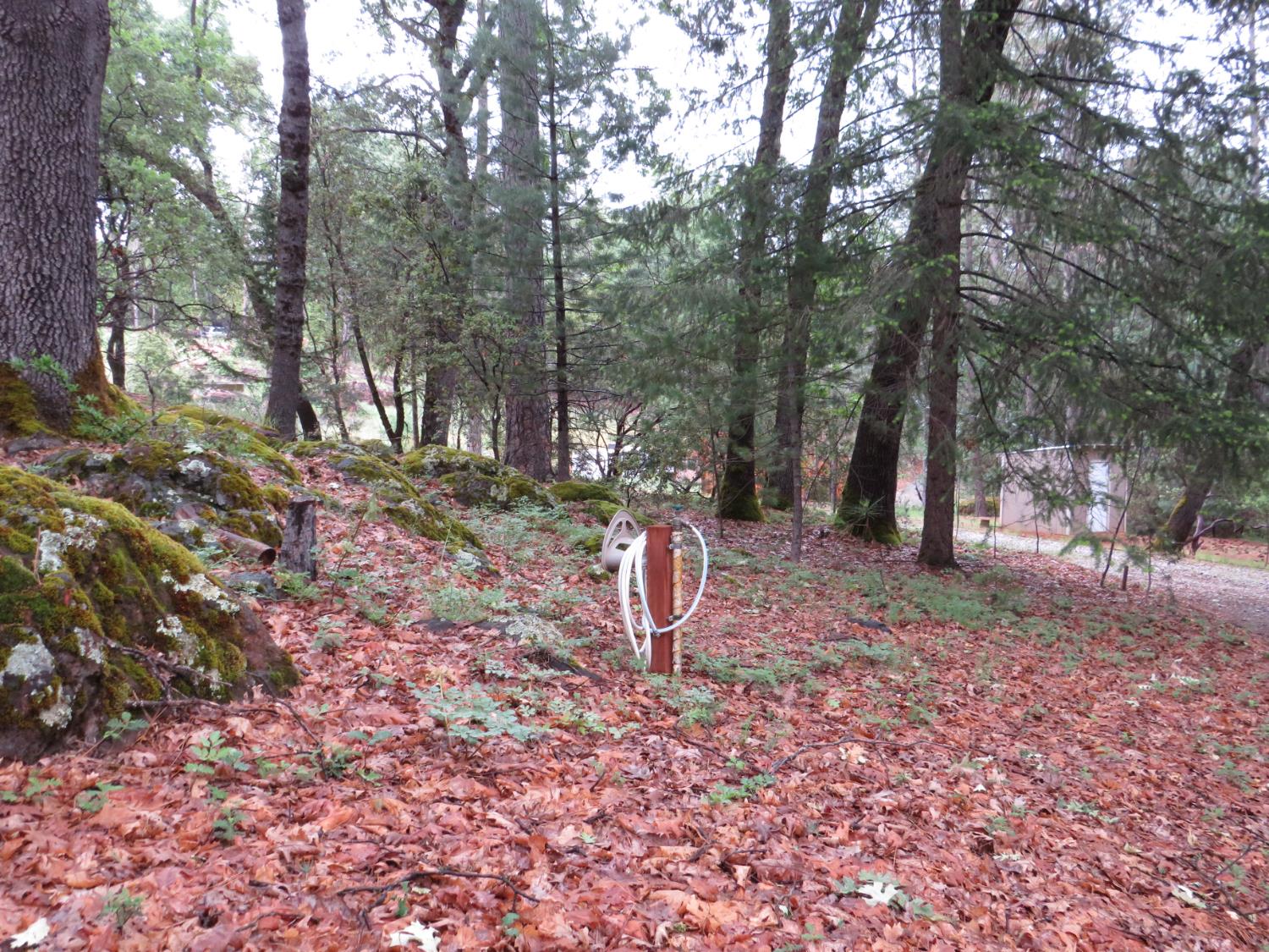 Chattering Pines Road, Grass Valley, California image 32