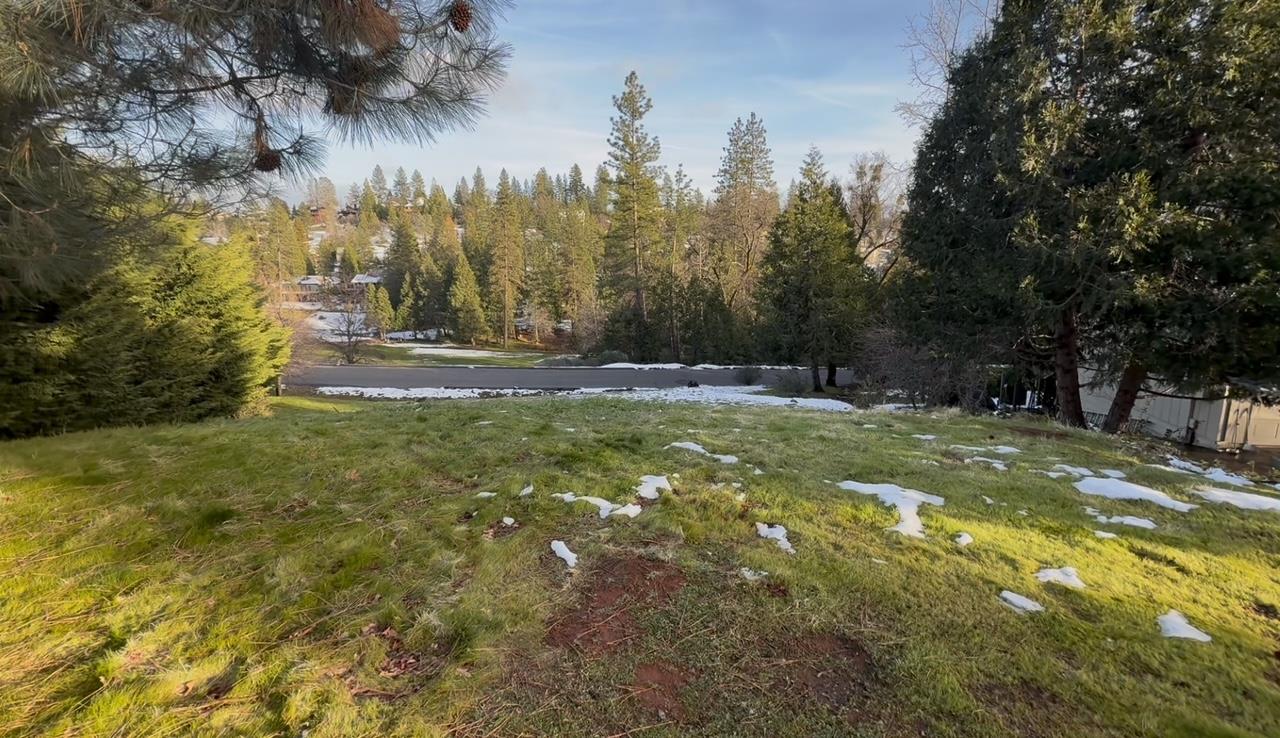Forest Meadows Drive, Murphys, California image 2