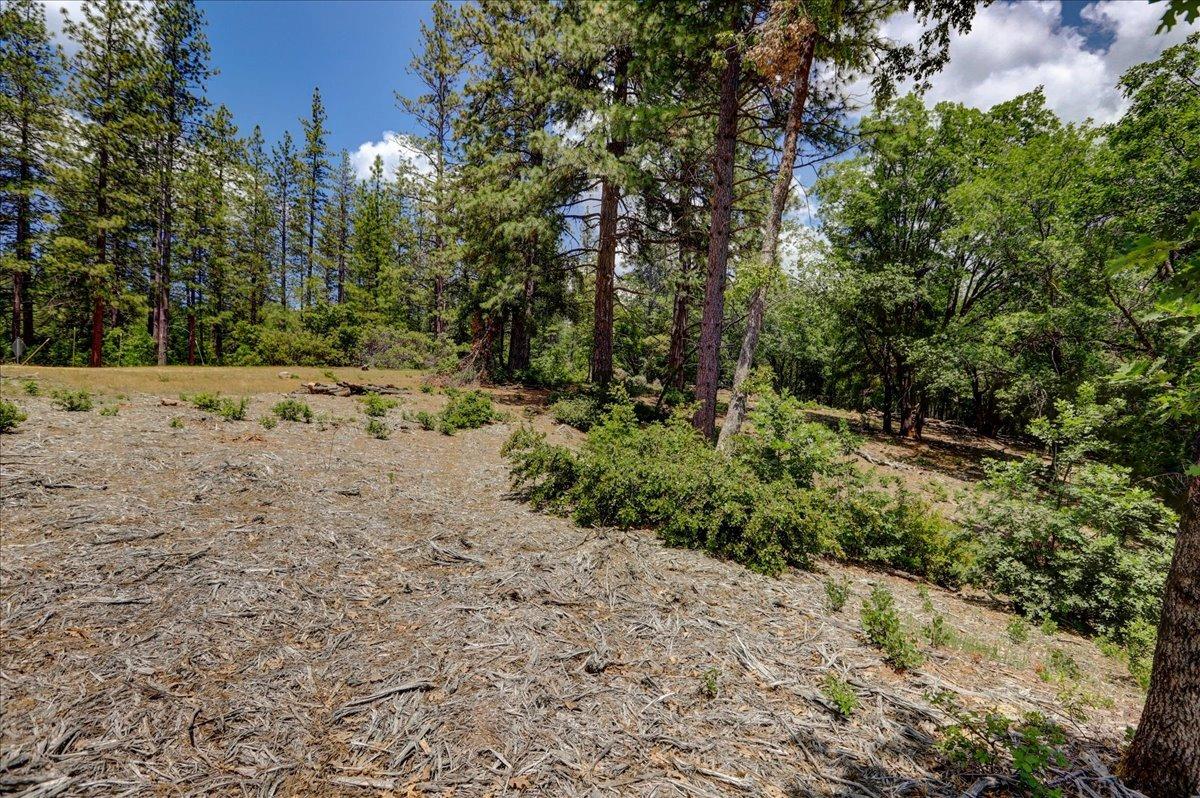 Detail Gallery Image 51 of 63 For 16856 Red Dog Rd, Nevada City,  CA 95959 - – Beds | – Baths