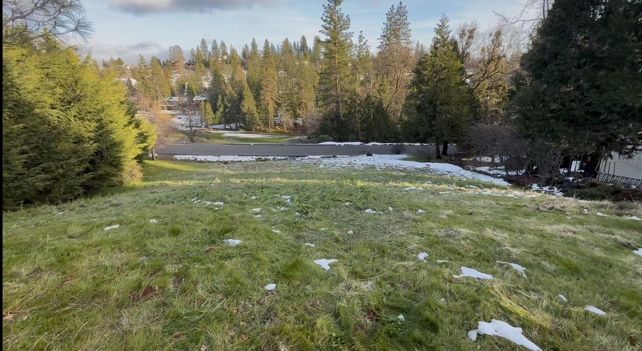 Forest Meadows Drive, Murphys, California image 1