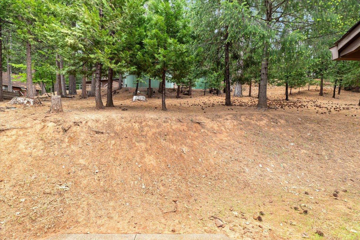 Awahanee Road, Sonora, California image 37