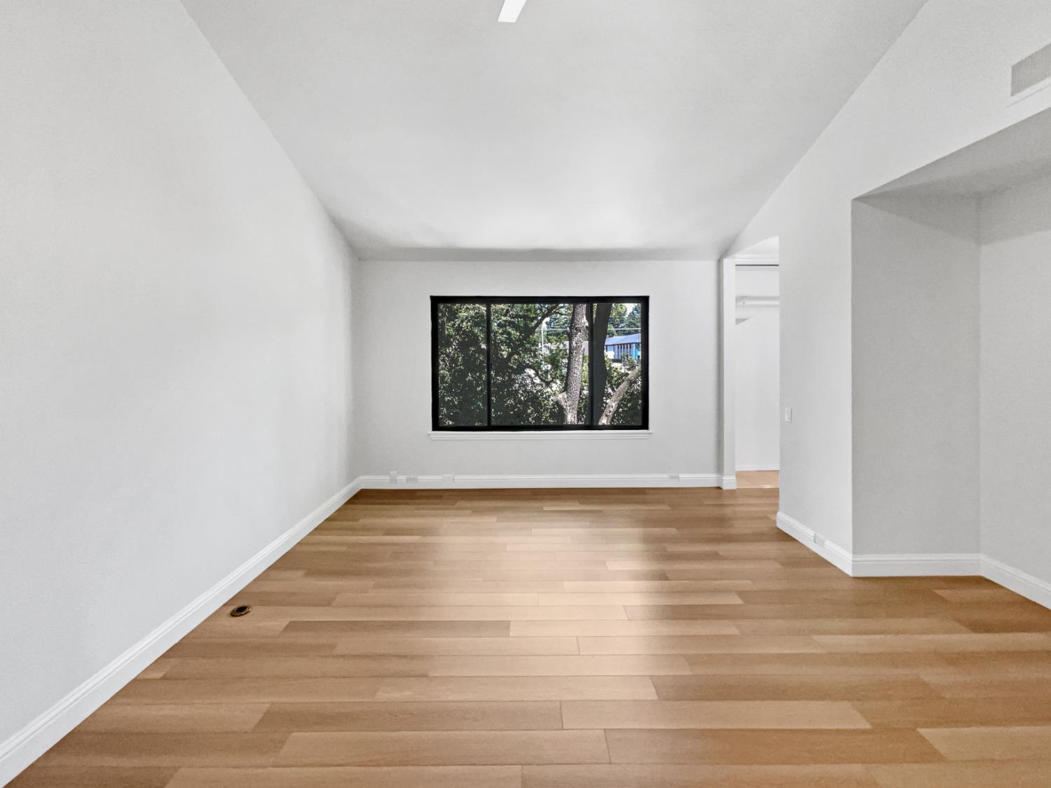 Photo #22: 225062142 Listing: Photo #22