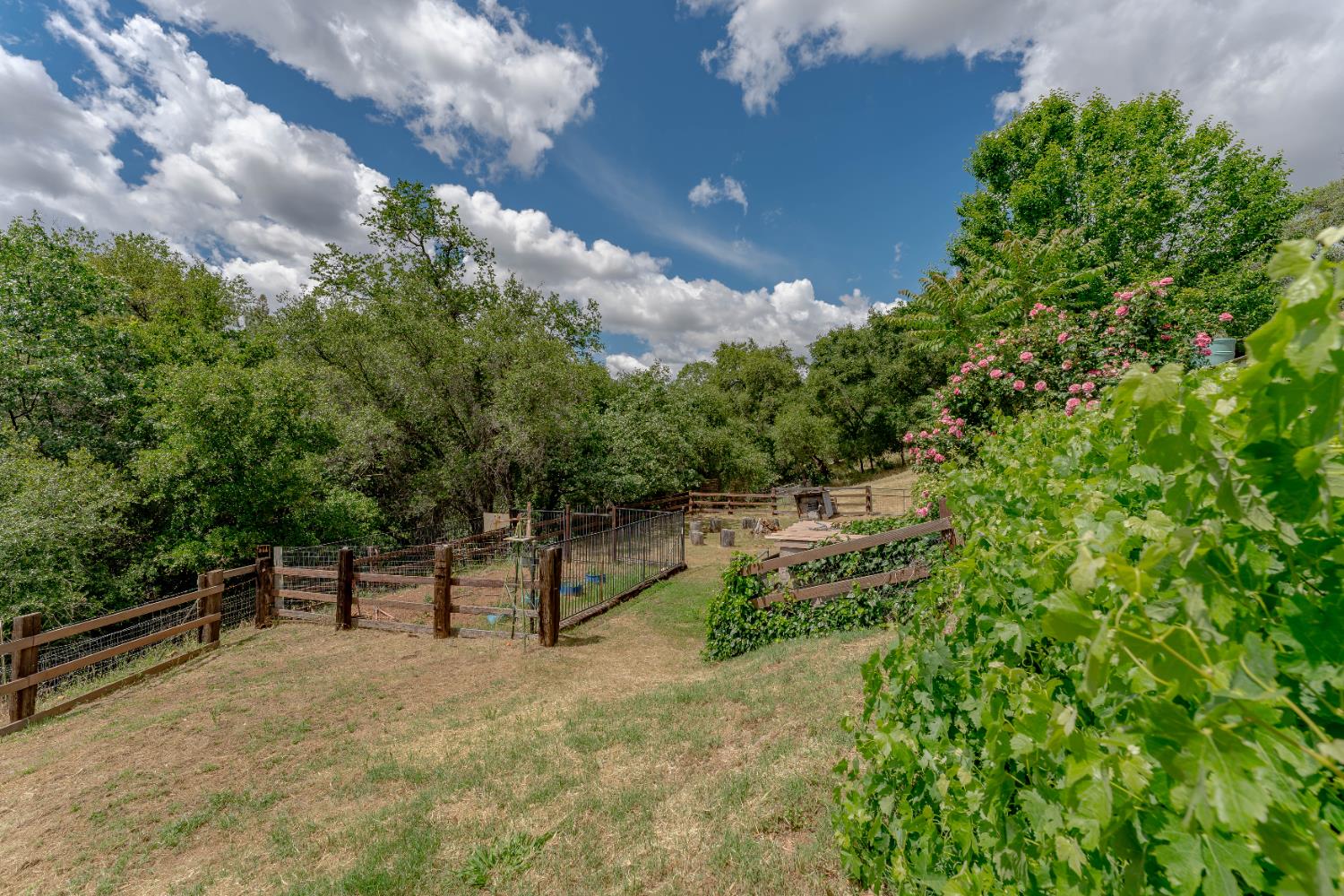 Detail Gallery Image 40 of 63 For 257 Cheyenne Ln, Auburn,  CA 95603 - 3 Beds | 3 Baths