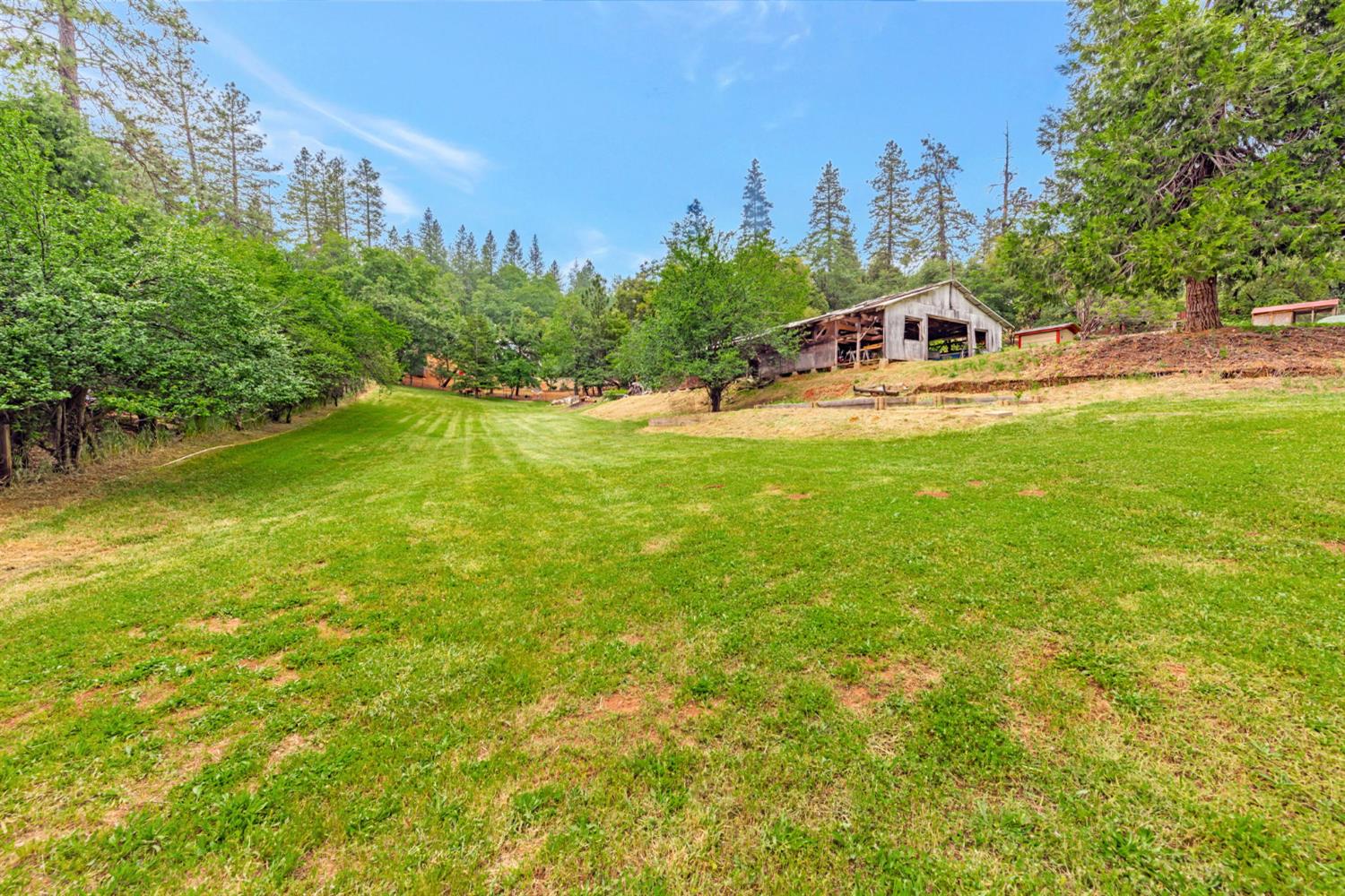 Detail Gallery Image 35 of 41 For 22175 Placer Hills Rd, Colfax,  CA 95713 - 6 Beds | 3 Baths