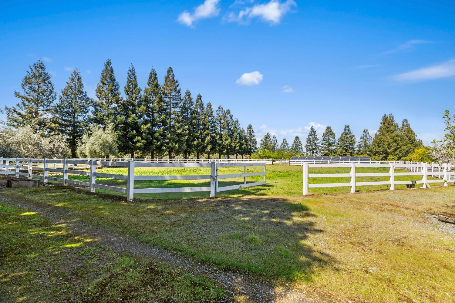 Detail Gallery Image 28 of 77 For 5000 Peach Blossom Ln, Oakdale,  CA 95361 - 5 Beds | 3/1 Baths